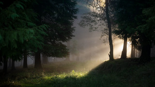 Lights & Shadows (Hector Prada)