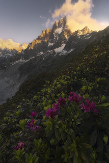 Aiguille des Grands Charmoz (Rafael D&iacute;ez)