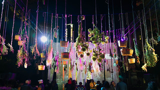 Nuit Blanche Toronto 2026 - Rosa's Garden (Marco Baldonado) (philipwhitcombe)