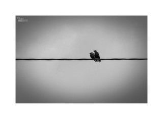 [Explore] 💬 (&aacute;ngel mateo)