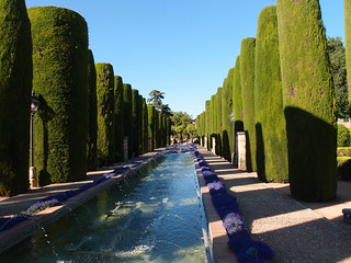 Jardines. (J.G.Sansano)