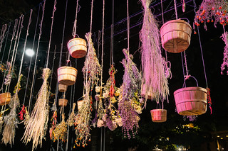 Nuit Blanche Toronto 2026 - Rosa's Garden (Marco Baldonado) (philipwhitcombe)