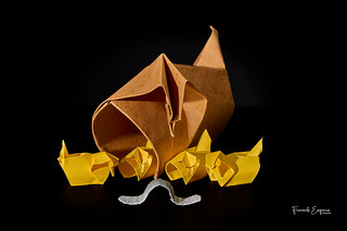 Gallina, pollitos y gusano (ferezma)