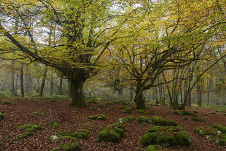 Monte Santiago (Javi Diez Porras)