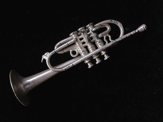 Miniatura. (J.G.Sansano)