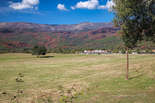 Pradera (Jos&eacute; Antonio Domingo RODR&Iacute;GUEZ RODR&Iacute;GUEZ)