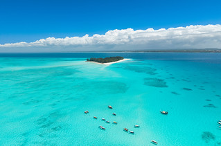 Mnemba Island (yan08865)