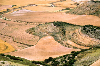 Bardenas.1997 (Luis M&ordf; Lainsa)