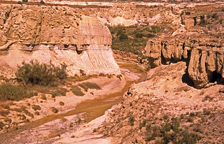 Bardenas.1996 (Luis M&ordf; Lainsa)