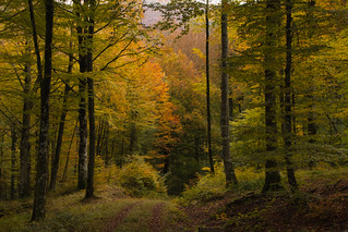 En tiempo de oto&ntilde;o (JLuis San Agust&iacute;n)