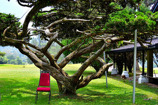 Kelab Golf Sultan Ahmad Shah, Cameron Highlands (Philip Wood Photography)
