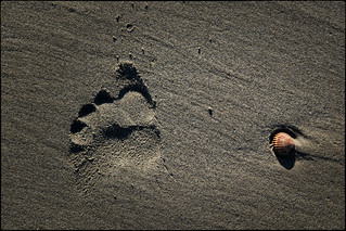 Llibertat, camins i traces (fotopsia.cat)