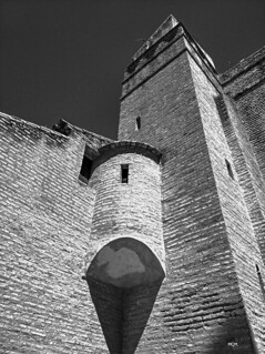 Garit&oacute;n (fotorpin)