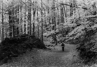 Caminar para escuchar... (B.Rufo)
