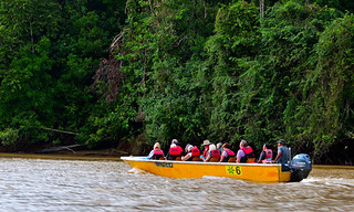 Late afternoon on the banks of the River Kinabatangan,Bilt. (Philip Wood Photography)