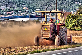Trabajando en el campo (ibzsierra)