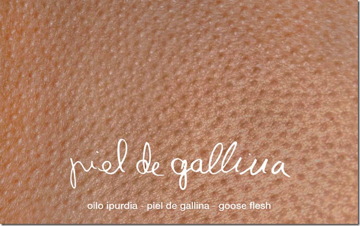 Piel de gallina de Regina José Galindo