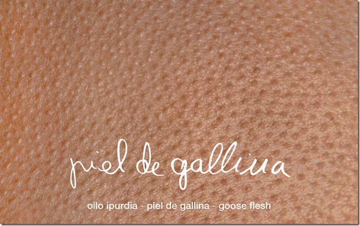 Piel de gallina de Regina José Galindo