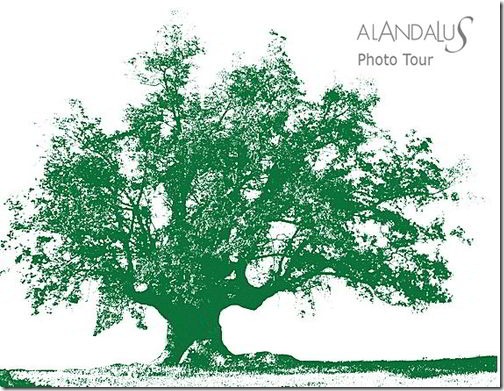 AL ANDALUS PHOTO TOUR