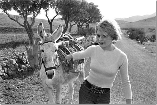 Brigitte Bardot