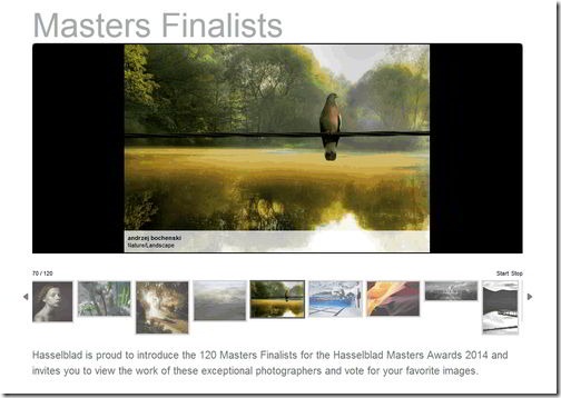 2013-01-14_Finalists-Gallery