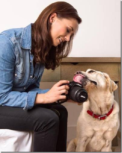 Carli Davidson Pet Photography