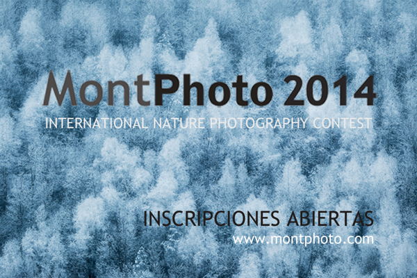 MontPhoto 2014