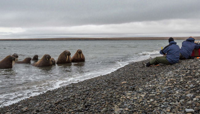 © Alexey Ebel / WWF-Canon   