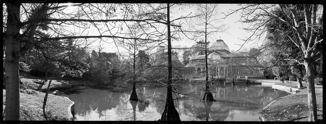 Palacio de Cristal, Luis Vioque