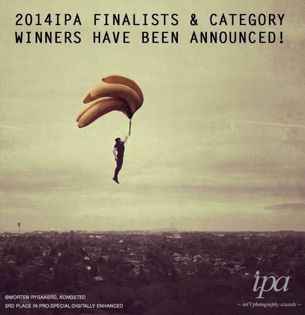 IPA Winners