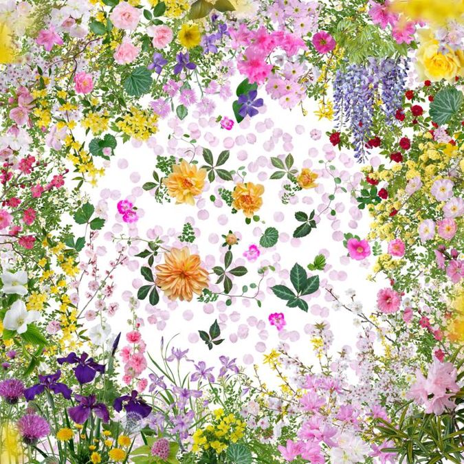 Fukushima Flowers de Katsuhiro Noguchi