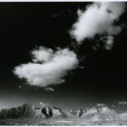 Manuel Falces. Tabernas.