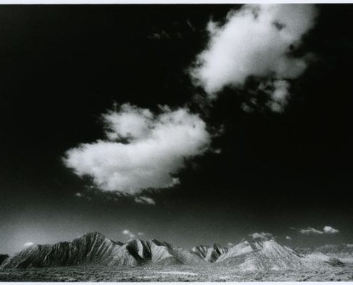 Manuel Falces. Tabernas.