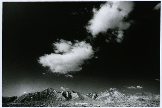 Manuel Falces. Tabernas.