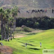 Premio Internacional de Fotografía Luís Valtueña