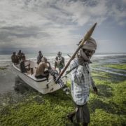 Veronique de Viguerie / Getty Images Reportage