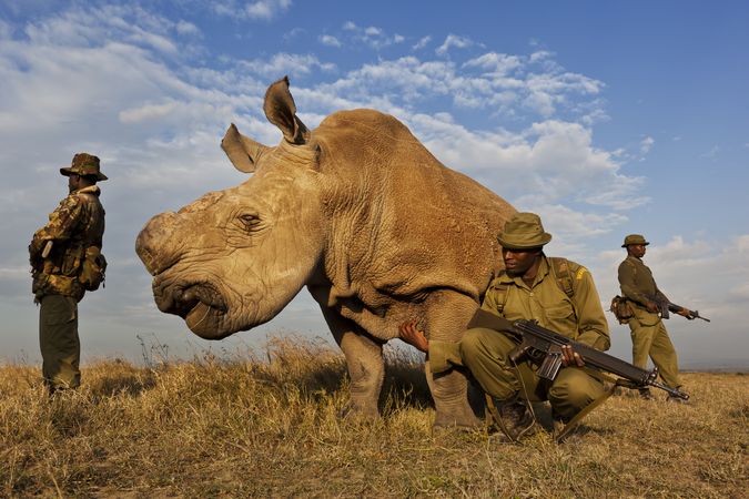 Brent Stirton / Getty Images Reportage