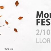 MontPhoto FEST 2015