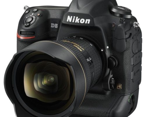 Nikon D5