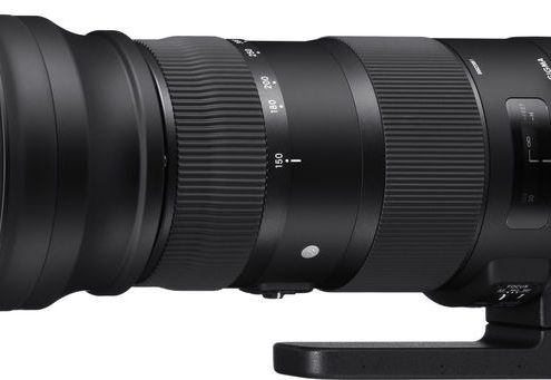 SIGMA 150-600mm F5-6.3 DG OS HSM Sports