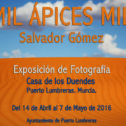 Mil ápices mil, Salvador Gómez