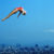 Getty Images, Juegos Olímpicos de Río 2016