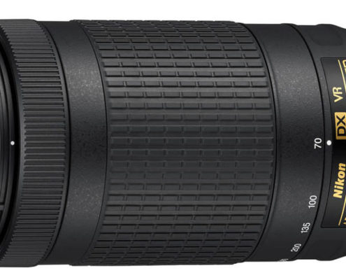 AF-P DX NIKKOR 70-300mm f/4.5-6.3G ED VR