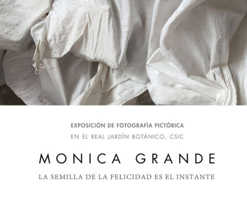 Exposición de “Fotografía Pictórica” con iPhone de la artista Mónica Grande