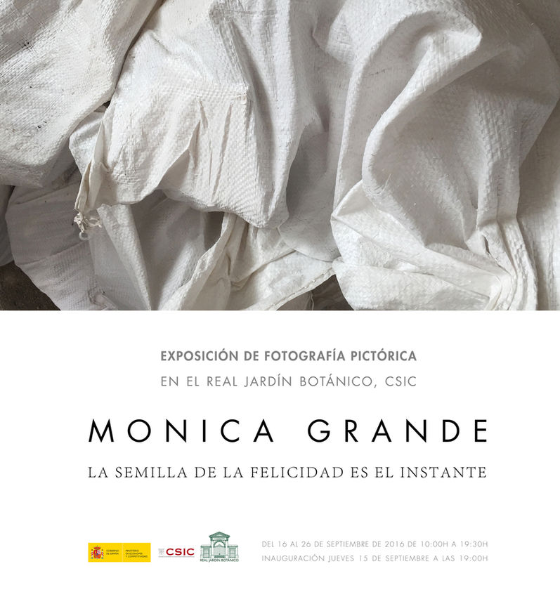 Exposición de “Fotografía Pictórica” con iPhone de la artista Mónica Grande 