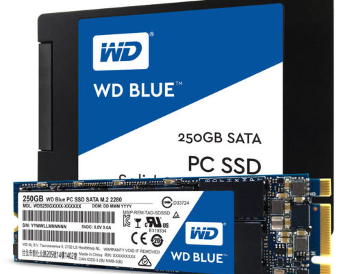 Western Digital SSD WD Blue