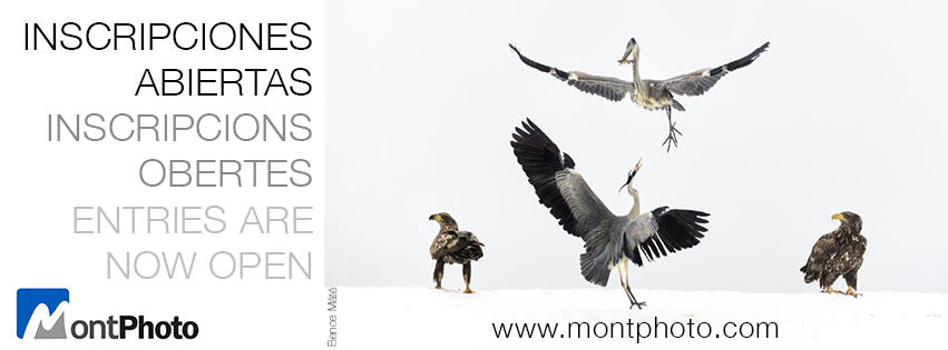 MontPhoto 2017, inscripciones abiertas