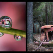 Alberto Ghizzi Panizza, La Belleza del Óxido