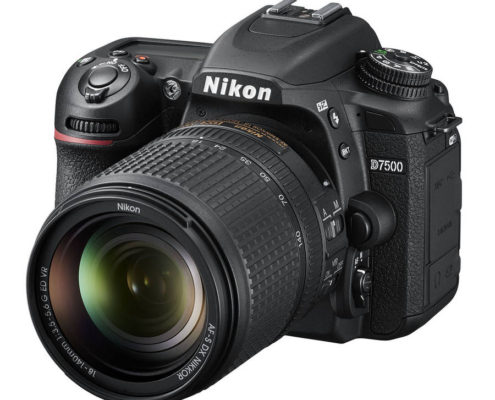 Nikon D7500
