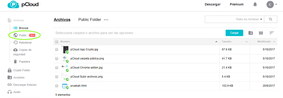 pCloud Carpeta Pública web